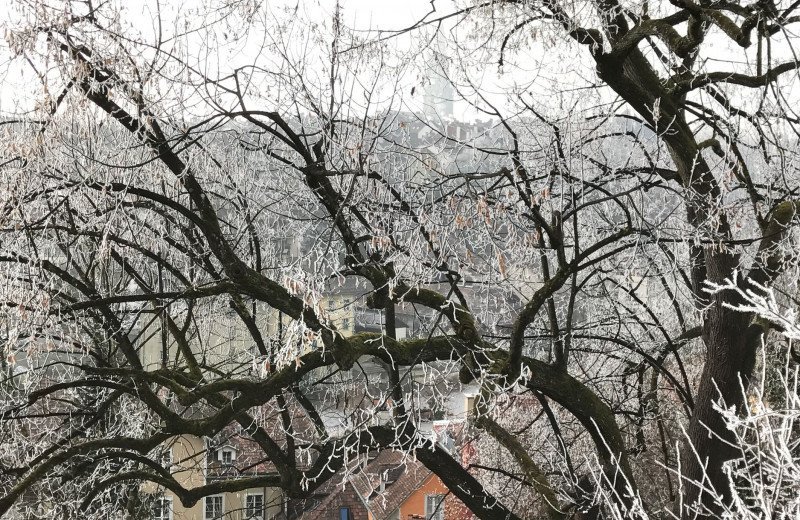 Winter Bern